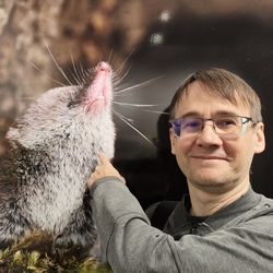 Konstantin Morozov, GMP Specialist, Auditor of Pharmaceutical Enterprises