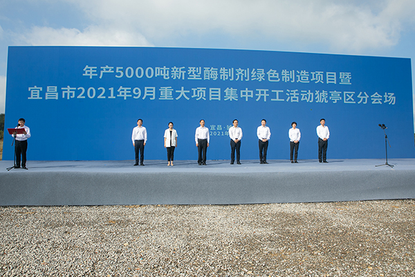 Angel Enzyme Preparation