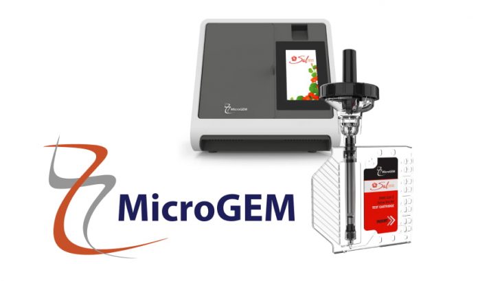 MicroGEM test