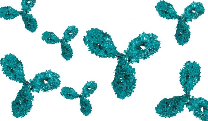 antibody-drug conjugates