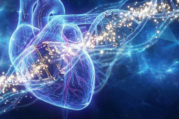 Genetico Invests 50 Million Rubles in Development of Drugs for Heart Diseases