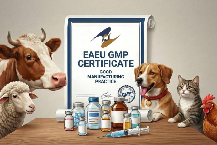 Transition to EAEU Standards: GMP Certification Rules for Veterinary Drugs are Changing