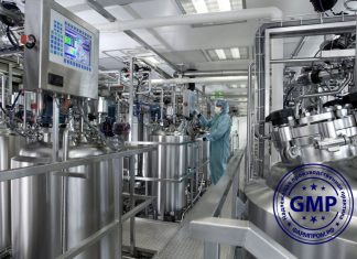 GMP Registry Update: 8 New Certificates by the End of February 2026 GMP