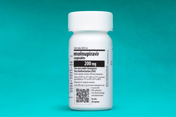 molnupiravir-bottle