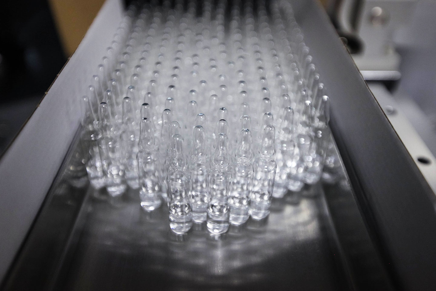 vaccine manufacturing