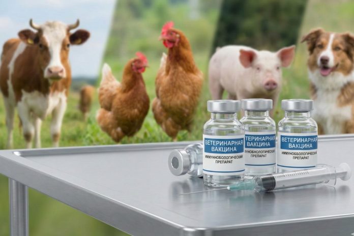 Green Corridor for Veterinary Vaccines